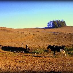 Documenting and Sharing the Culture and Atmosphere of Sonoma County, California.
