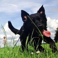 Danny (@hskler76) Twitter profile photo