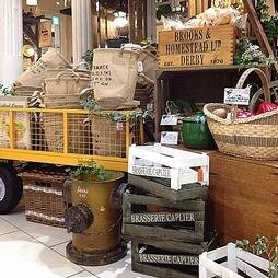 biscottilake's profile picture. インテリアデザインショップ　ビスコッティ　イオンレイクタウン店です♪　ナチュラルカントリーなキッチン、ガーデン、照明、ＤＩＹ商品など数多く取りそろえています。あなたのおうちにナチュラルテイストを取り入れてみませんか？（＾ｖ＾）
ブログも更新してますのでよろしければご覧くださいね!(^^)!