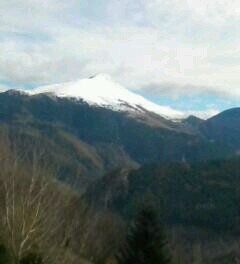 malear67's profile picture. 