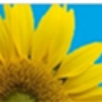 HealthLiteracyUK (@literacyhealth) 's Twitter Profile Photo HealthLiteracyUK (@literacyhealth) 's Twitter Profile Photo
