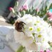 Watlington In Bloom (@watlingtonbloom) Twitter profile photo