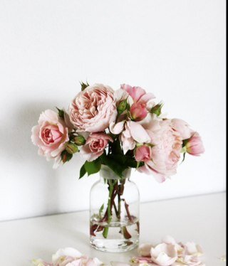 tmoom111's profile picture. 