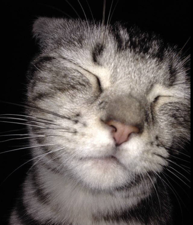 runtintin's profile picture. 