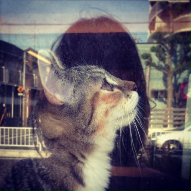 gotochan16's profile picture. 日々のlog。この道より我を生かす道はなし。この道を行く。