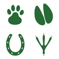 Minster Vets (@minster_vets) 's Twitter Profile
