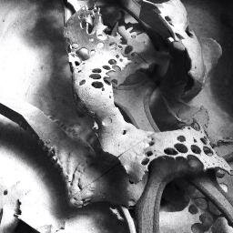 Maschfabrik's profile picture. 