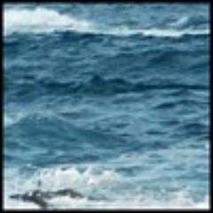 lolamrimy's profile picture. 