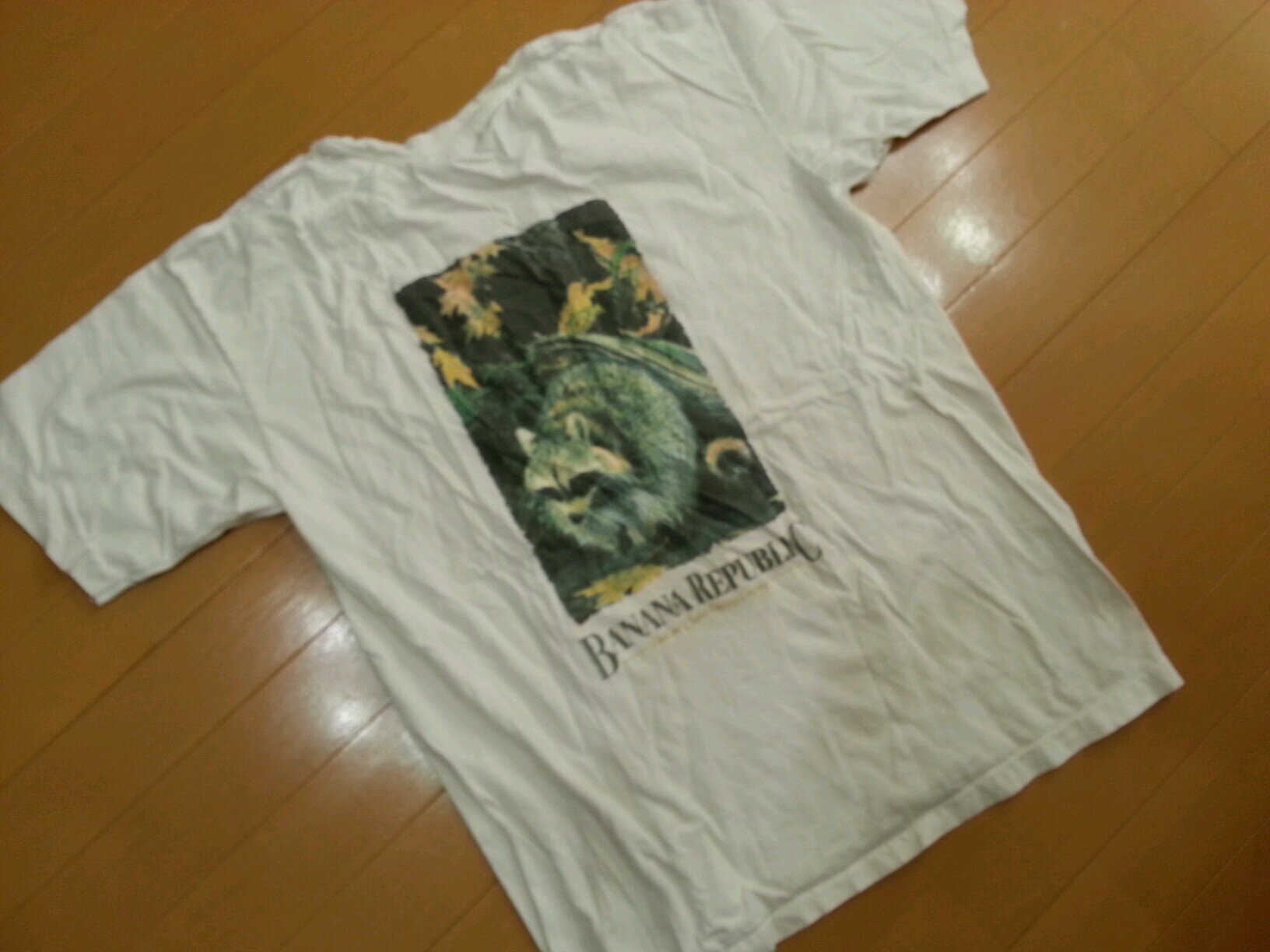 dejinko's profile picture. 