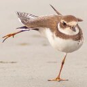 Holly Trahan - @wovenimage - Twitter