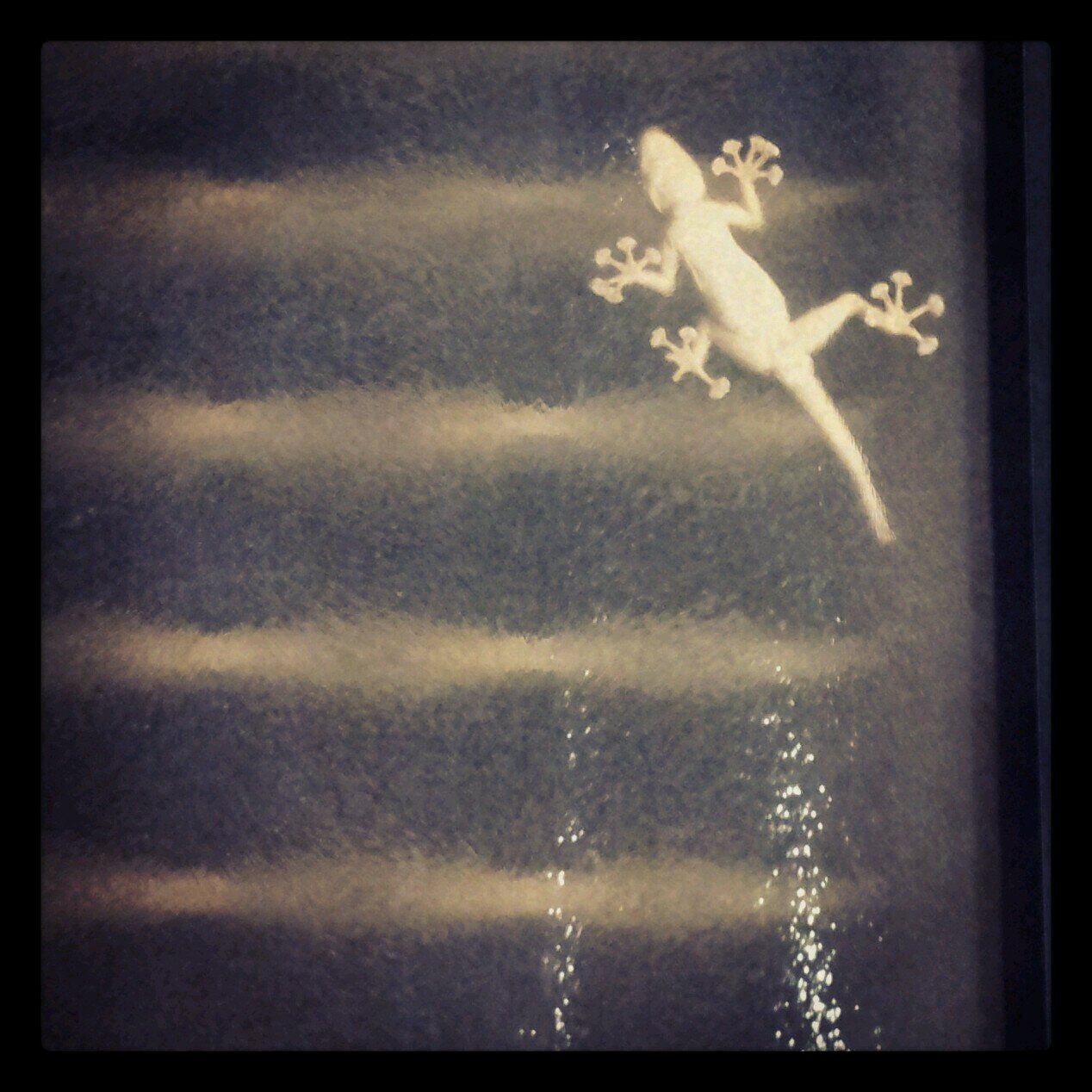 ChenSh3's profile picture. Urology, surgery and random opinions in Hebrew & English. If you find anything on my account offensive, let me know. She/her.