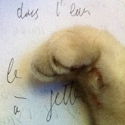 Art, Avocat, Chat, Droit, Ecriture, Electroacoustique, Humeur, Humour, Interview, Photographie, Plastique, Poésie, Radio, Sailing, Son, Sound, Talk, Vie, Voile.