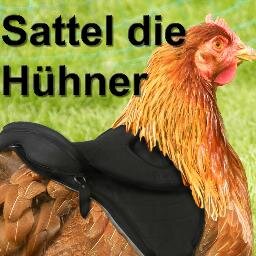 Sattel die Hühner