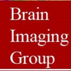 The Center for Understanding Biology using Imaging Technology (CUBIT) uses imaging modalities to investigate neuropsychiatric disorders and their treatment.