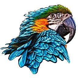 Photographer and Artist -Melbourne, FL. Visit her website to see and learn more. Info@maridockery.com