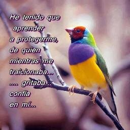 xear1975's profile picture. 