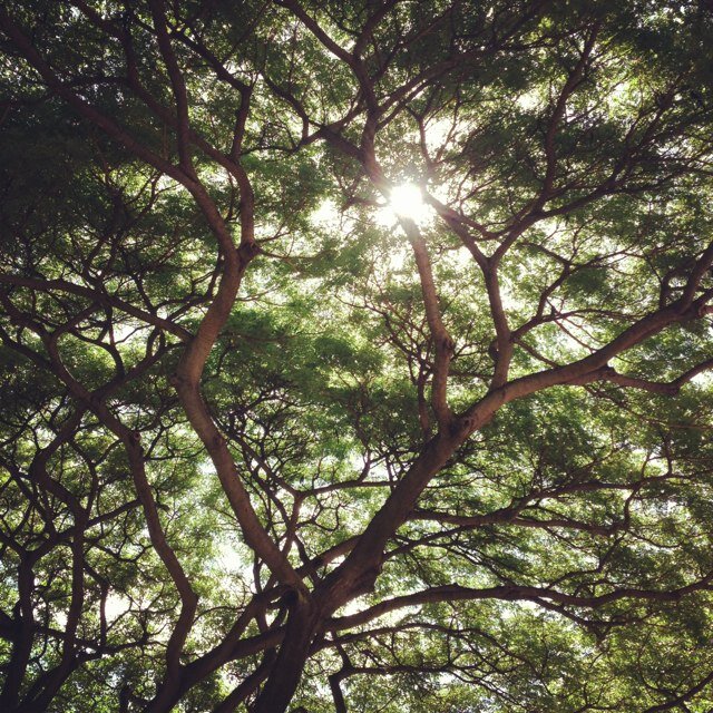 Earth. My favorite planet.