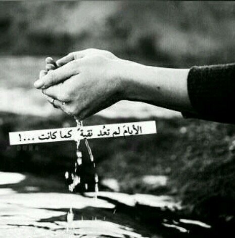 ‏‏‏‏سبحان الله وبحمده سبحان الله العظيم ♡