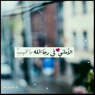 ~ ربي أختم حياتي بـ عمل صالح ألقاك به ~