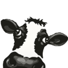 J1Huisman's profile picture. 