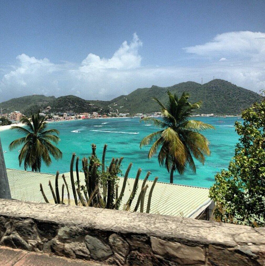 Thickalicious's profile picture. Don't be an eagle, you'll soar too high, be a pigeon and shit on everything