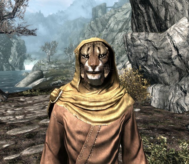 TheMaiq's profile picture. I wander around Tamriel while thinking about different paradigms that can and could occur.
