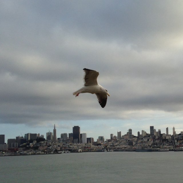 hacarlos12's profile picture. IT Consultant