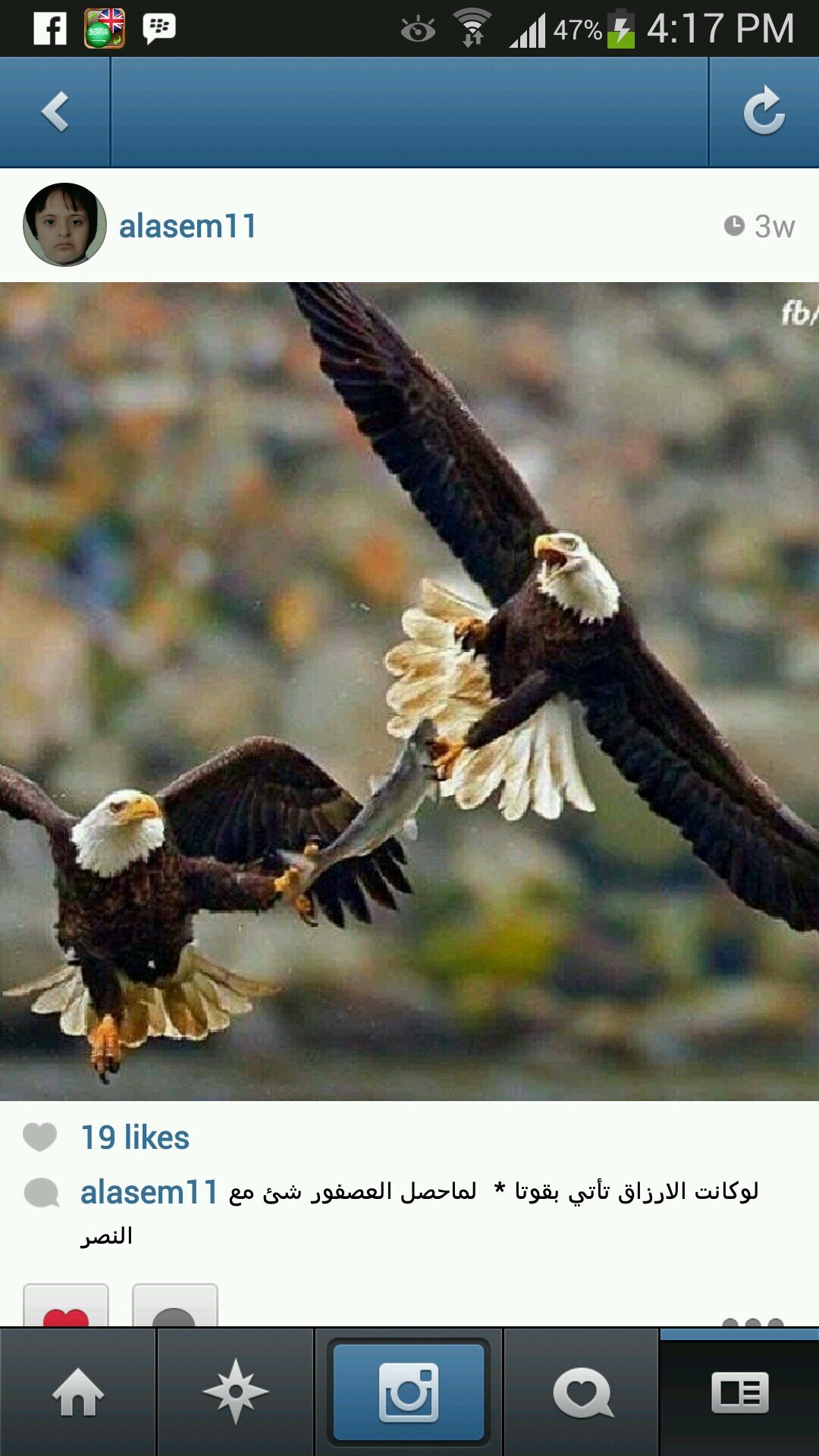 الصور والمواضيع قيد النشر في المشاركات تعبر عن راي مرسلها ولن نتحمل ادنى مسئوليه عنها