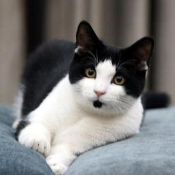 matthewrileyblo's profile picture. dj hex