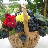 müşerref balaban (@muserrefbalaban) 's Twitter Profile