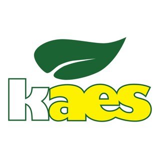 the_kaes Profile Picture
