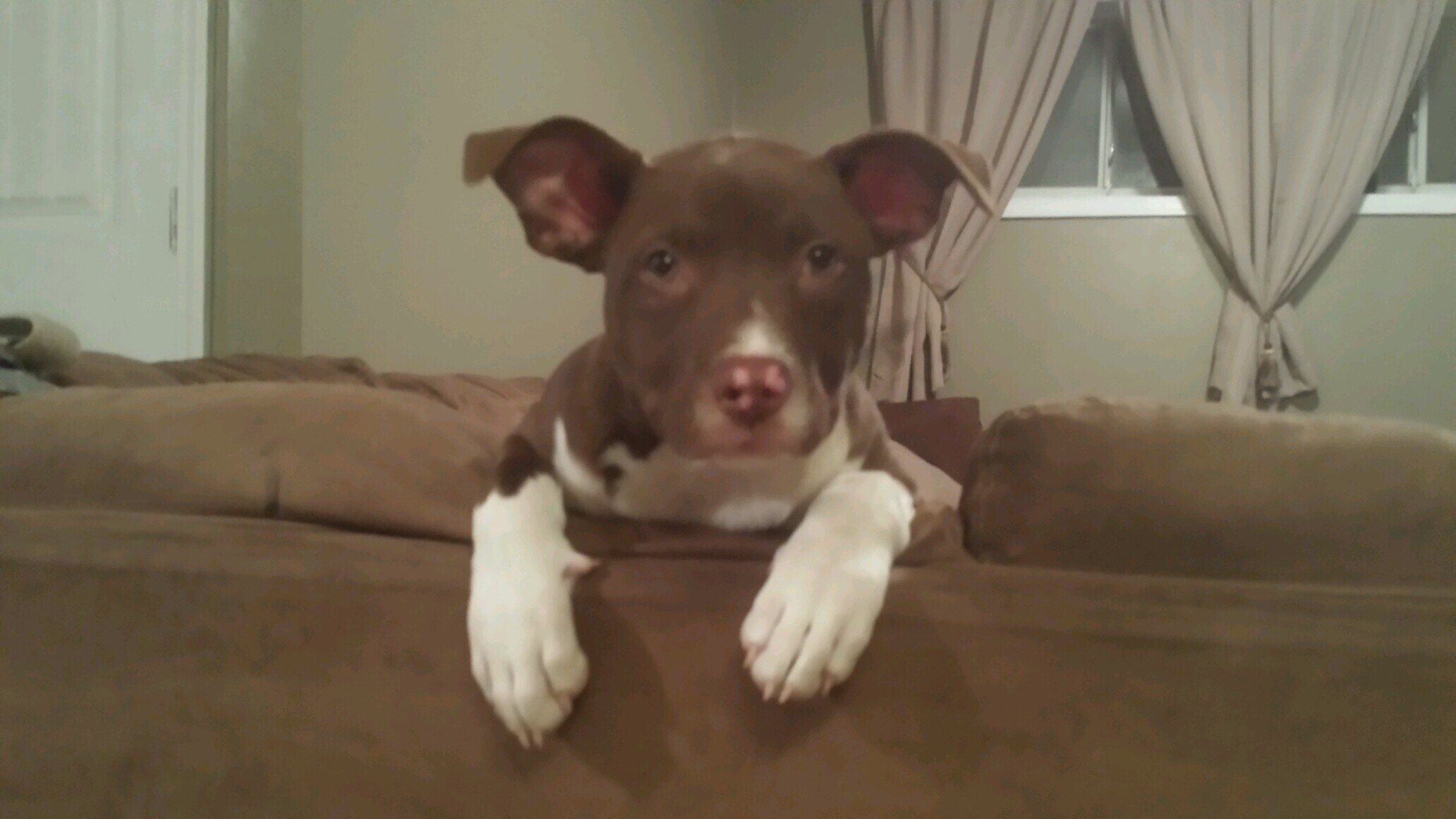 Rodogg005's profile picture. Loving life.