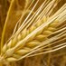 Cascade Maltings (@cascademaltings) Twitter profile photo