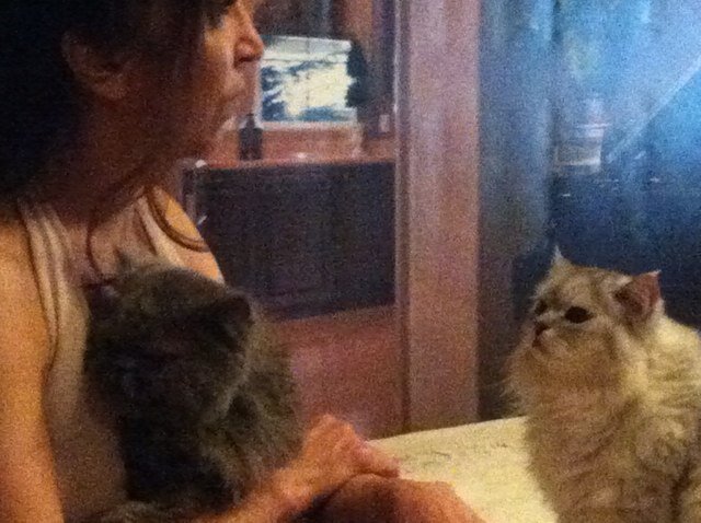 monaamour2000's profile picture. 