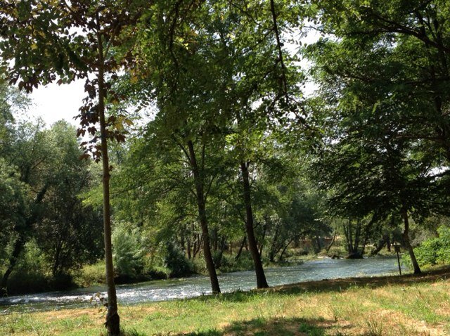 pepefreire1's profile picture. 