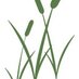 Rushey Mead PL (@rusheymeadpl) Twitter profile photo
