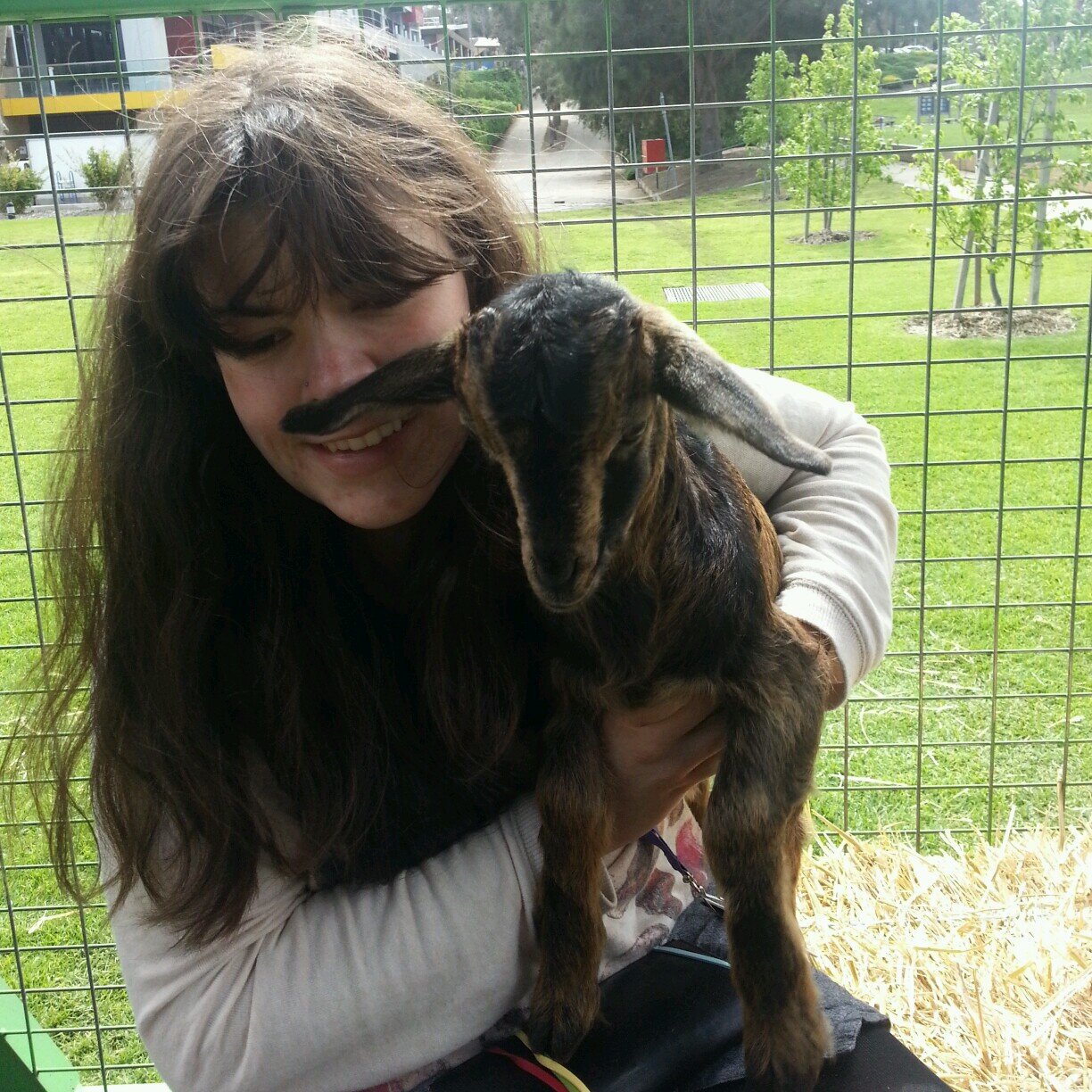 genthehen Profile Picture