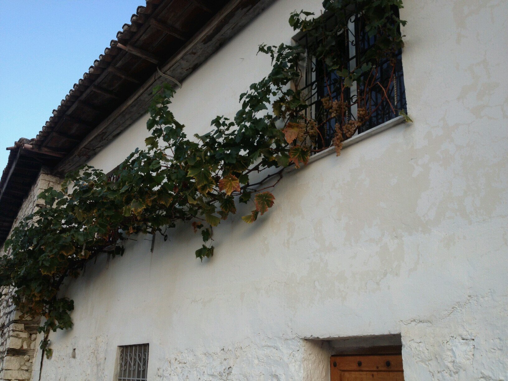 ademirel4's profile picture. .