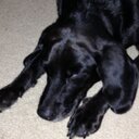 John Maubach - @JohnMaubach - Twitter