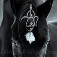 شبكة قبائل الحويطات (@hwetat_rb3y) 's Twitter Profile