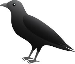 My tweets are for you to relate to, and for me to vent.