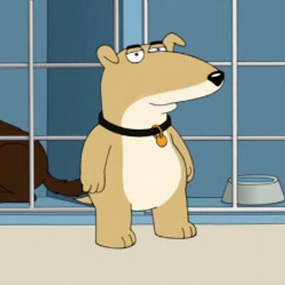 pic Vinny Griffin Family Guy vinny griffin vinnygriffin fg twitter