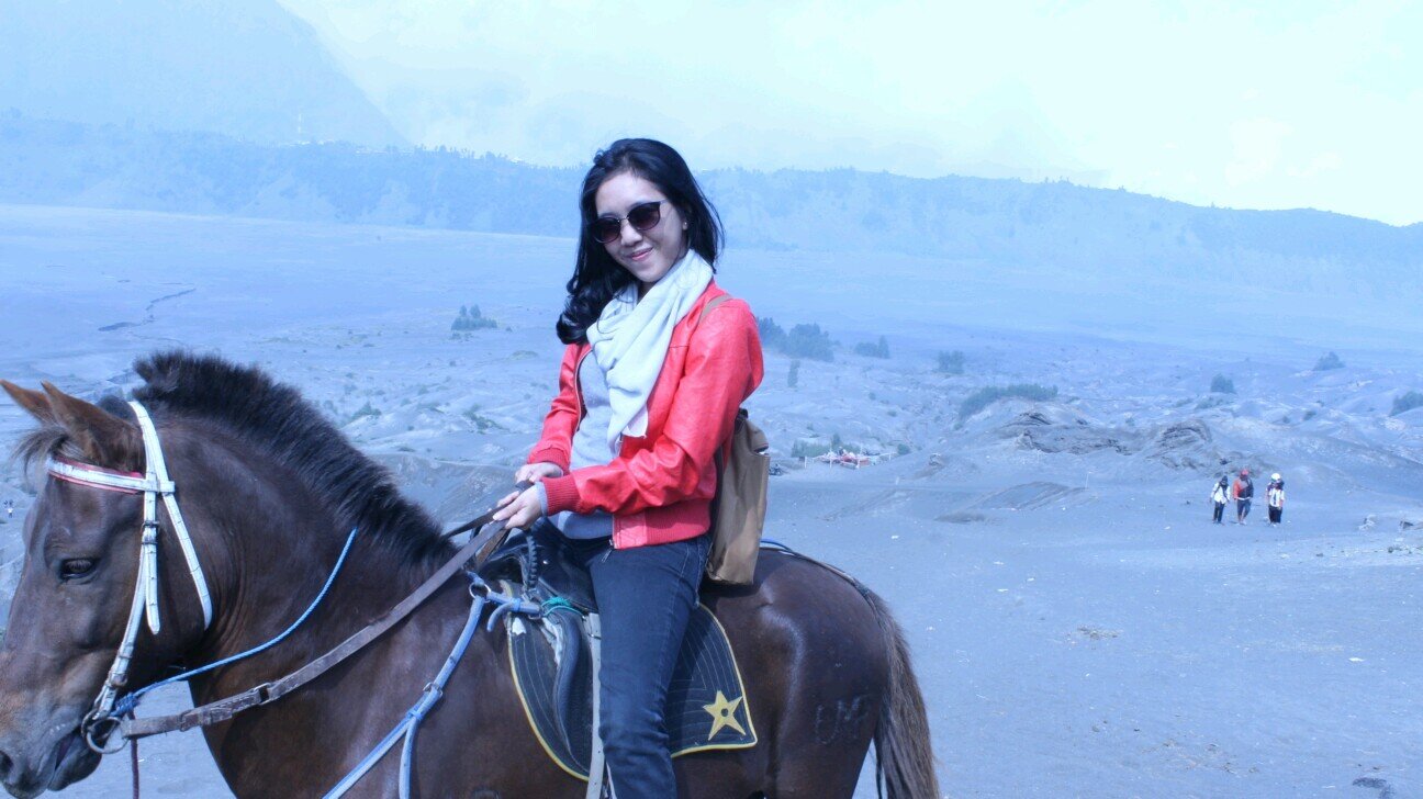 mislamisla's profile picture. Hello stalker. find something? :)