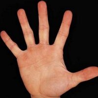 Schiaffi (@schiaffi_) 's Twitter Profile