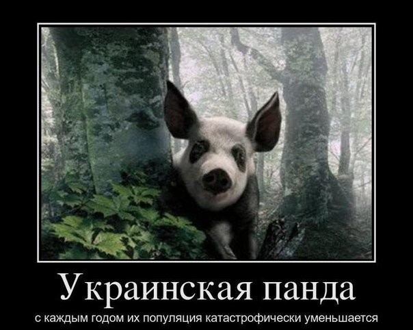 Родился, живу и работаю в Минске, 32 года, пока не женат, но это не надолго!) Обычный человек большого города.