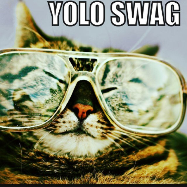 #Student #ProGamer #LeagueOfLegends #TeamsLeeSin #YoloSwag_