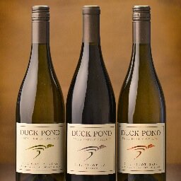 Producing premium wines from 600+ acres of Oregon vineyard land since 1993. Family owned and operated. Located in the heart of Oregon's Willamette Valley.