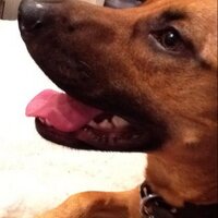 deb_spencer (@deb_spencer) 's Twitter Profile