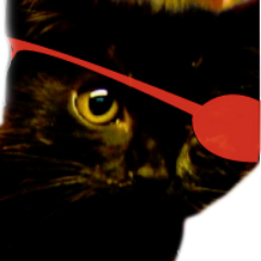 Security Engineer, Repressed Artist, Penetration Tester