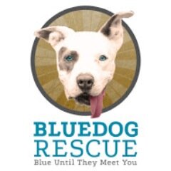 We are a 501c3 non profit dedicated to finding homes for homeless dogs.